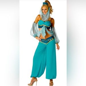 InCharacter Harem's Jewel Elite Genie Belly Dancer Costume - L